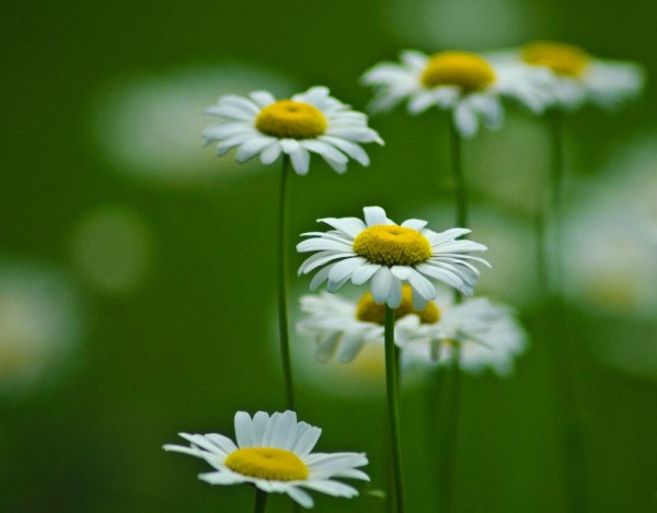 God's persistent love