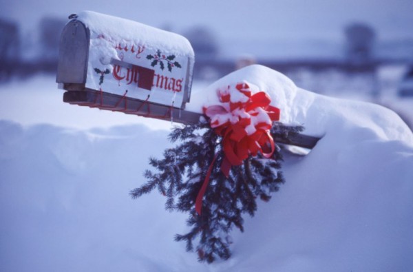 Don't Let Christmas Steal Your Joy